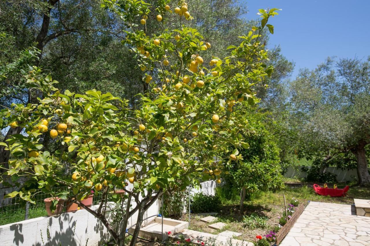 Karia Holiday Home Lefkimmi  Luaran gambar